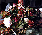 La Belle Fleur Floral Arrangements