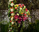 La Belle Fleur Floral Arrangements