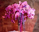 La Belle Fleur Floral Arrangements